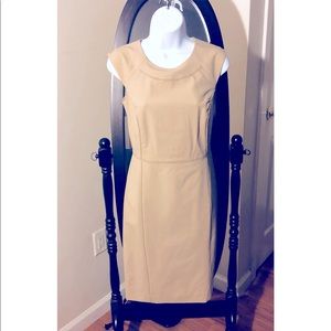 The Limited Tan dress